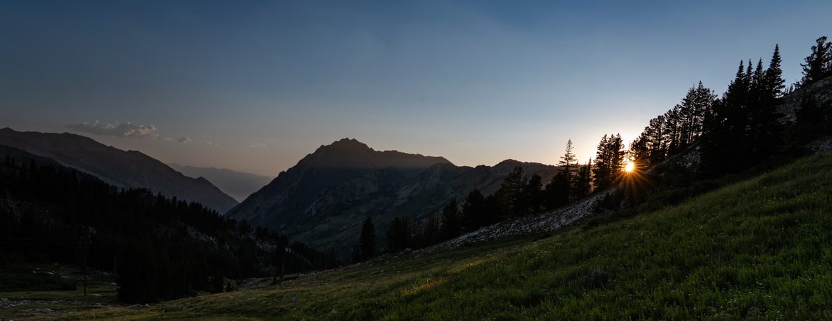 Landscape