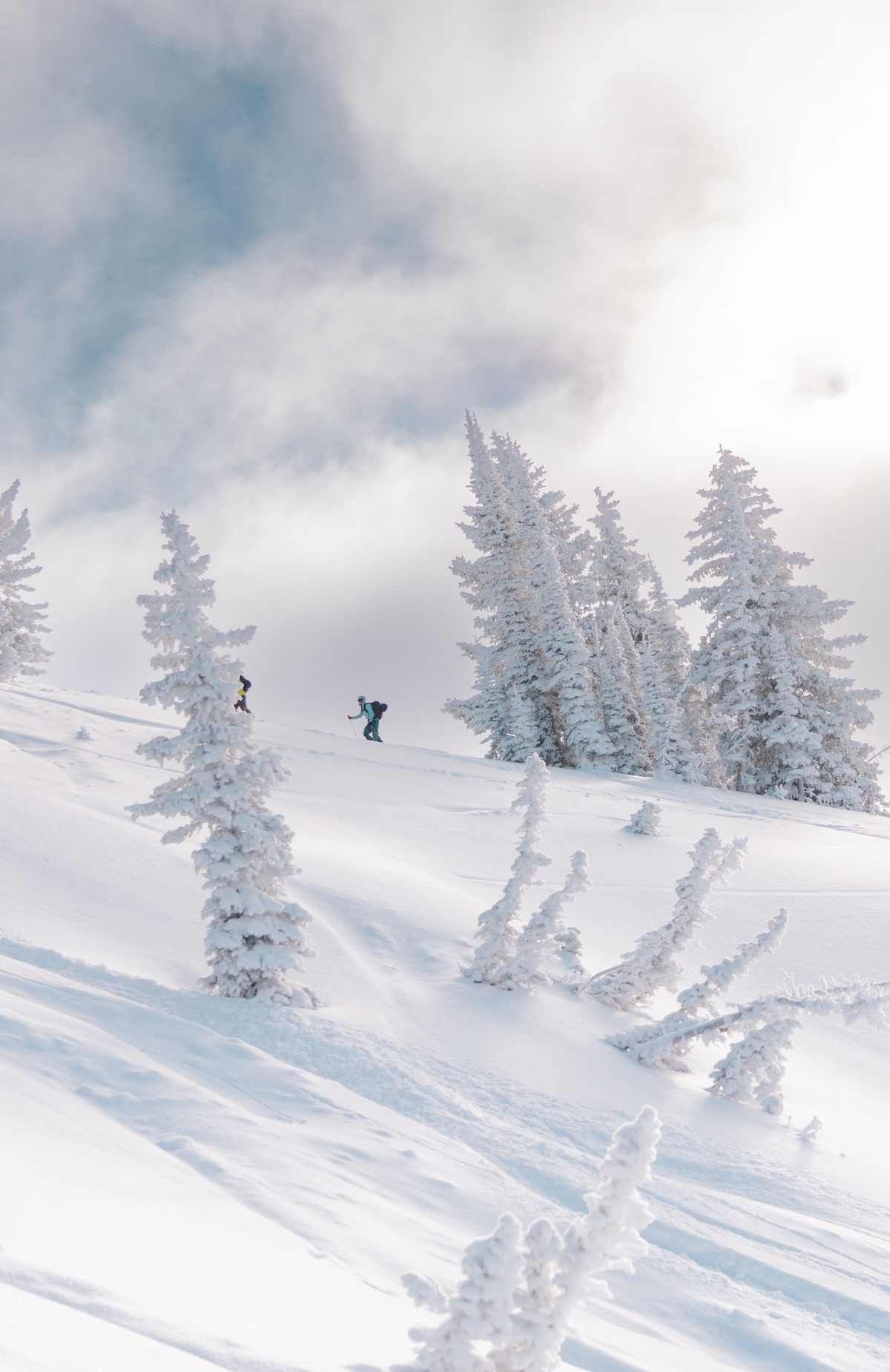 Skiing